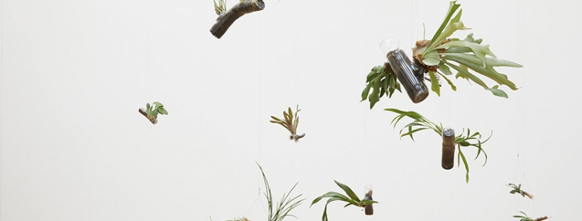 Pulsa para ampliar Daniel Steegmann Mangrané Premio de Arte Catalina D’Anglade