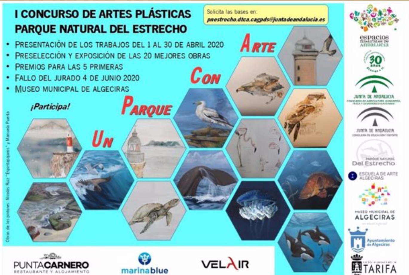 Pulsa para ampliar I Concurso de Artes Plásticas Parque Natural del Estrecho