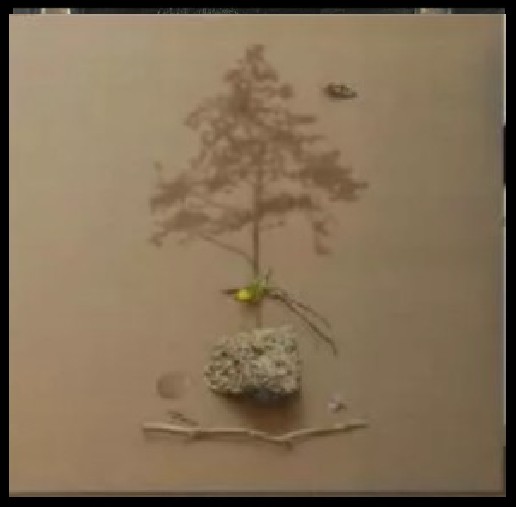 3º premio de 3.000 euros Martínez Calderón 