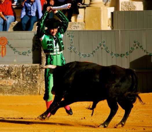 fallado-los-premios-del-8-certamen-de-ilustraciones-taurinas-de-castellon-2021-de-la-federacion-taurina-de-castellon